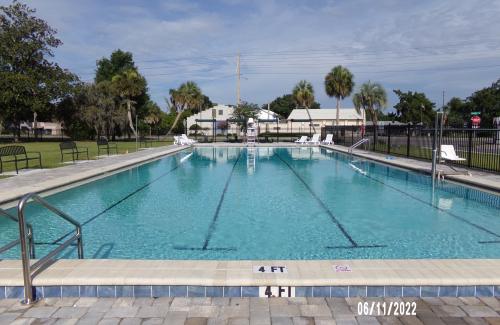 Pool filled with clear blue water with painted lanes surrounded with benches and reclining chairs