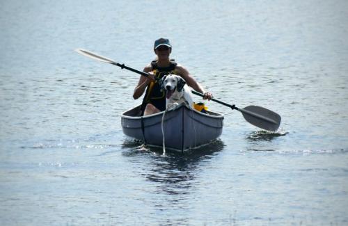 A person paddling a canoe on a lake with a Dalmatian sitting in front of the canoe