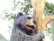 Close up of a chainsaw carving of a black bear climbing to the top of a tree limb