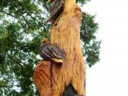 A chainsaw caring of three birds sitting or flying around a tree