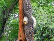 A close up of a chainsaw carving of a bald eagle flying around a tree