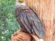A close up of a chainsaw carving of a bald eagle sitting on a tree