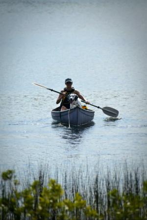 A person paddling a canoe on a lake with a Dalmatian sitting in front of the canoe