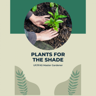 Plants for the Shade UF/IFAS Master Gardener