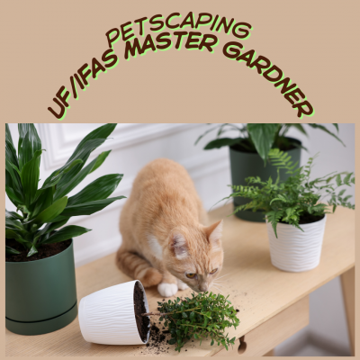 petscaping